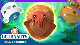 ​@Octonauts - 🪸 The Mysterious Cuttlefish 🐠 | 🎃 Halloween | Season 1 | Full Episode