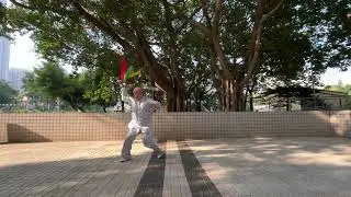 陈式单刀2024 12