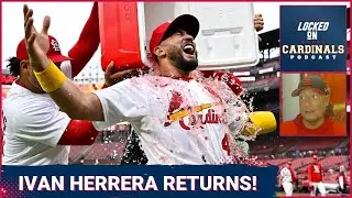 Ivan Herrera Returns To The St. Louis Cardinals Lineup! Trading Nolan Arenado And Ryan Helsley?