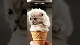 #icecream #cat #aikittens #aiart #ytshorts