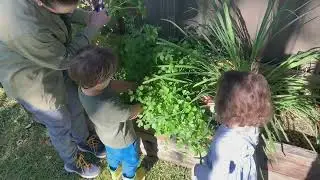 Garden- Sustainable Play Preschool