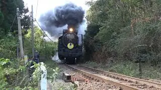 Japanese Steam Locomotive Train Yamaguchi  D51200  20241123 -24