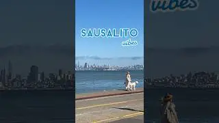 Sausalito is a vibe 😌 #sausalito #california #travel #visitcalifornia #sanfrancisco #bayarea #relax
