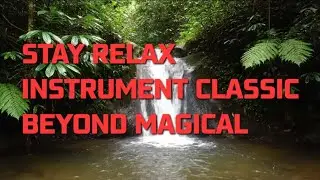 A Perfect Escape: Classical Music with Beautiful Nature