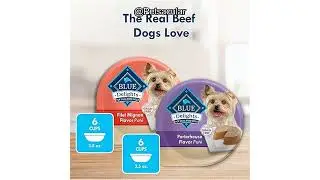 Blue Buffalo Delights Small Breed Wet Dog Food Review: Worth the Premium for Pets?