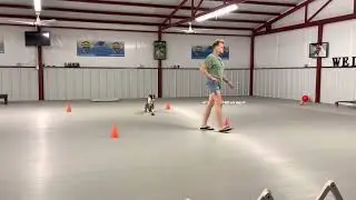 Betty-Board and Train Program