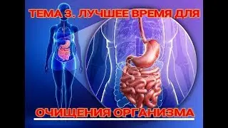 ☝☝ТЕМА 3. ОСЕНЬ - ЛУЧШЕЕ ВРЕМЯ ДЛЯ ОЧИЩЕНИЯ ОРГАНИЗМА