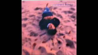 Transient Waves - Soulspace