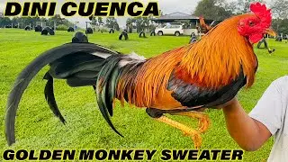 GOLDEN MONKEY SWEATER PUMPKIN HATCH DINI CUENCA