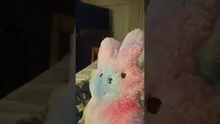 squeak bunny