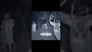Real Wendigo Sounds Caught On Camera😱 #wendigo #sound #caughtoncamera #camera #real #shorts