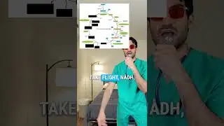 Master Krebs Cycle Fast With This Catchy Song 🎵 ! #shorts #doctor #medicine