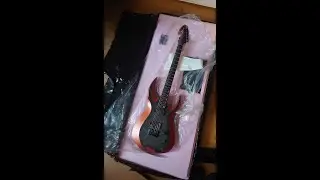 Custom Guitar Unboxing GV Scythe
