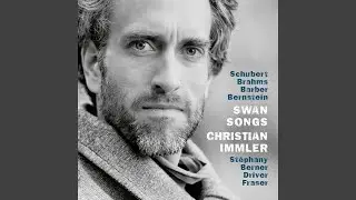Schubert: Schwanengsang, D. 957: No. 11, Die Stadt
