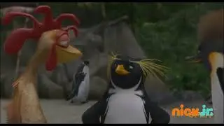 Surf's Up en Nick. Jr totally real and rare