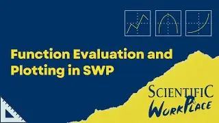 Applying Item Tags and Function Evaluation and Plotting in Scientific Workplace | SWP Software