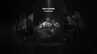 Orthosie EP available now on Hybrasil Music Bandcamp