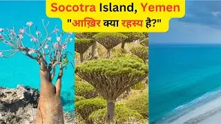 Socotra Island, Yemen ||