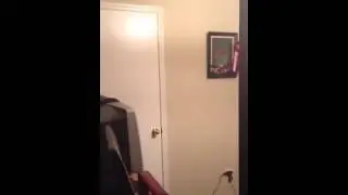 Maybe Vine Worthy??