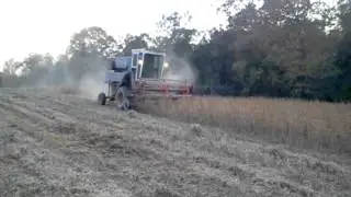 Gleaner model k picking beans