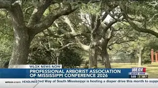 Mississippi arborists gather to discuss tree preservation