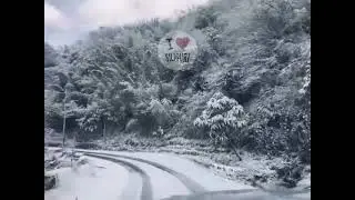 Zuluk Sikkim Today - Covered with SNOW ❄️ 