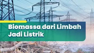 Biomassa dari Limbah Jadi Listrik