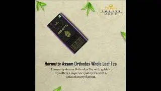 Assam Tea single estate exclusive tea - Best Gift option
