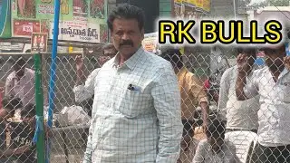 రెంటచింతల గ్రామం జూనియర్ విభాగం 💥4వ జత💥RK BULLS💥(బాలయ్య జయసింహ) 💥