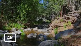 California 4K Nature Retreat: Creek, Bridge & Birds for Serenity