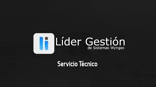 Servicio T&eacute;cnico - Programa/Software de Facturaci&oacute;n para tu Negocio - L&iacute;der Gesti&oacute;n