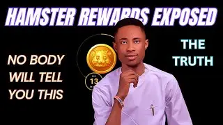Hamster Kombat Rewards Exposed: No body will tell you this || Hamster Kombat.