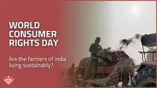 The Struggles of Sundarbans Small Farmers | Fair Trade & Tech Access