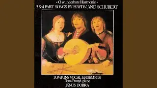 13 Three and Four Part Songs: An die Frauen