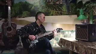 House Of The Rising Sun The Animals cover
