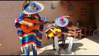 Jan Biggel en Arno Sloot op de Mexicaanse tour 😂😂😂😂😂😂