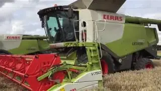 Essex Harvest 2017