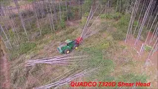 Quadco 7320D on John Deere 643L | Fast, Clean Shearing in Florida Timber