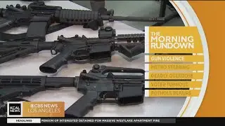 LA County launches 40-point gun violence prevention platform