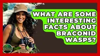 What Are Some Interesting Facts About Braconid Wasps? - Reptilian Wonders