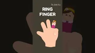 Learn Finger Names for Kids | Fun & Easy Finger Names Song | Toddlers Township #shortvideo