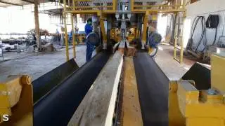 Serraria Eucalipto com Geminada GFORCE Portugues