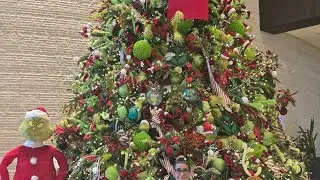 An Epic Christmas tour!!!