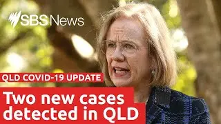 Watch: Queensland COVID-19 update | SBS News
