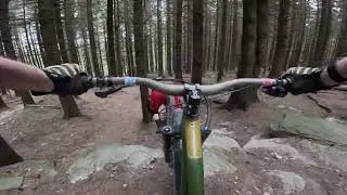 Root Manoeuvres