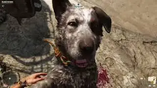 Far Cry 6 companions having a bad time