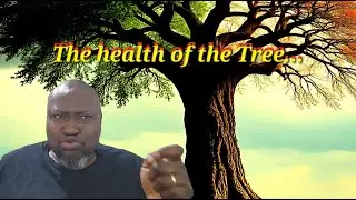 The Health of the Tree... A Quick Preamble