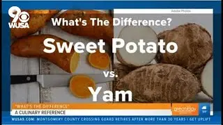 Do you know the difference between a sweet potato and a yam? A new book answers that and all your cu
