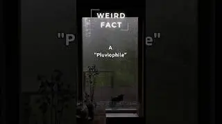 Pluviophile🌧️ - Weird Facts! #shorts #rain #weird #facts