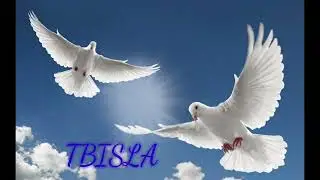 CJ GANG 🕊 TBISLA 🕊 ADUIO OFFICIAL  ( Ep 99grm 🕊  )